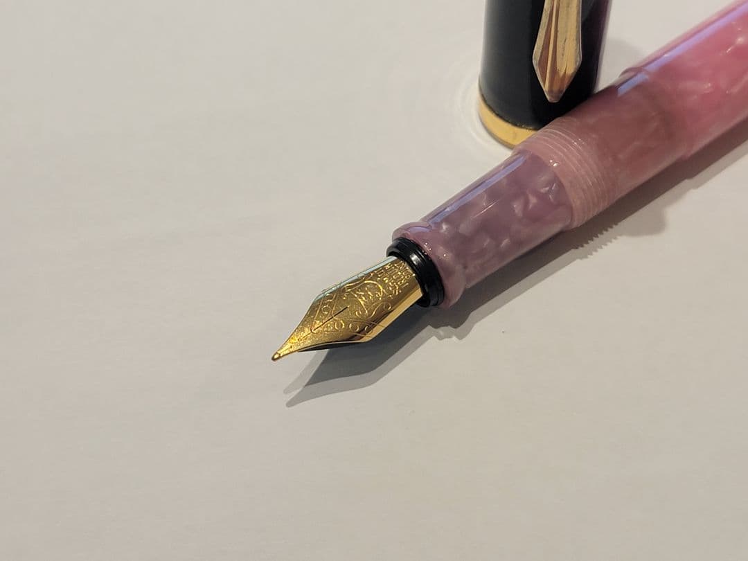 Onishi Peach Blossom Fountain Pen F Limited Edition Black & Gold Trim | Suadpens