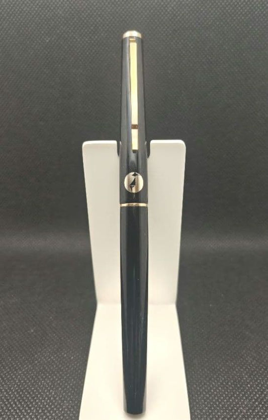 Platinum Showa Retro Census F fountain pen Unused, vintage, Japan | Suadpens