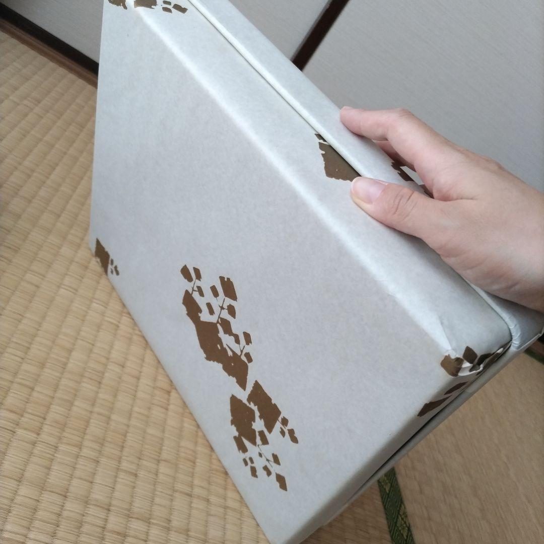 Hashimoto Makie Lacquerware Calligraphy Box Antique Retro Genuine  Used | Suadpens