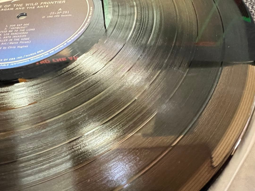 Adam & The Ants Kings of the Wild Frontier LP 1981 Japan pressing used | Japansoundstore