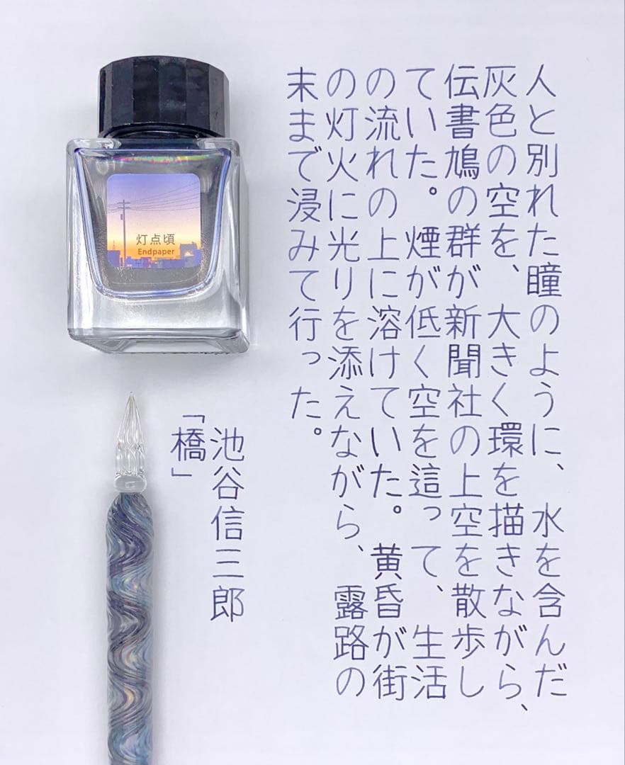 Endpaper Touhitori Ink 30ml Tono & Lims Fountain Pen Used Discontinued | Suadpens