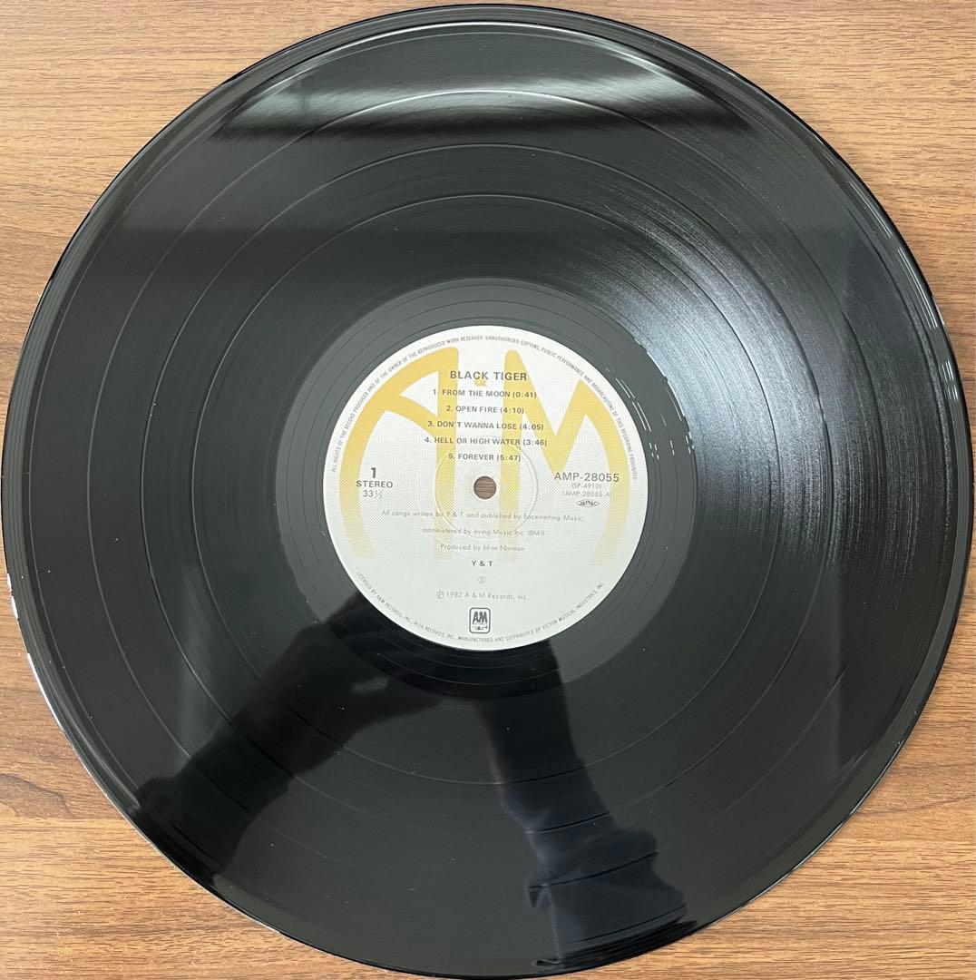 Y&T Black Tiger LP Vinyl Record Japan Obi Hard Rock 1982 Used | Japansoundstore
