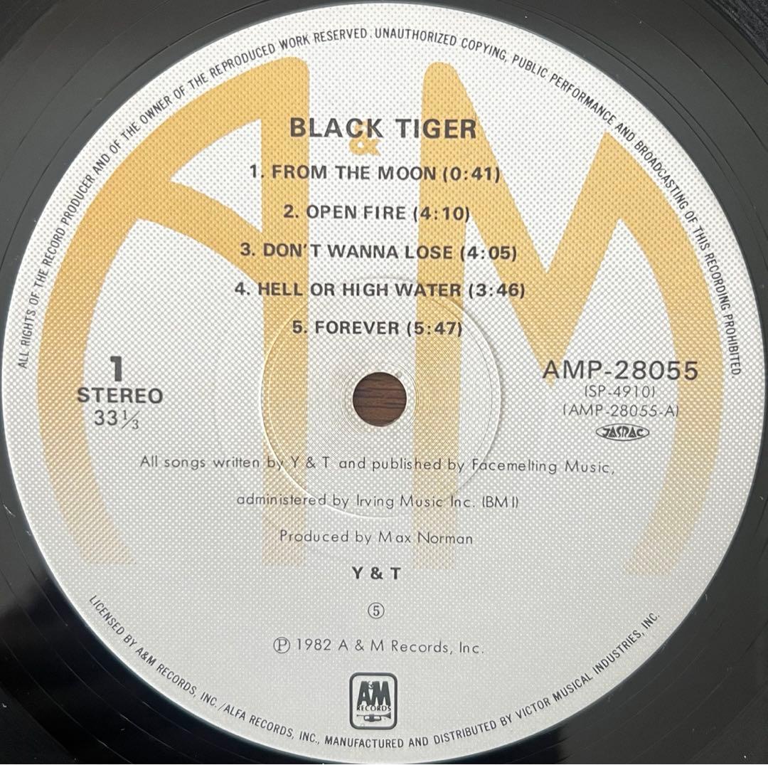 Y&T Black Tiger LP Vinyl Record Japan Obi Hard Rock 1982 Used | Japansoundstore