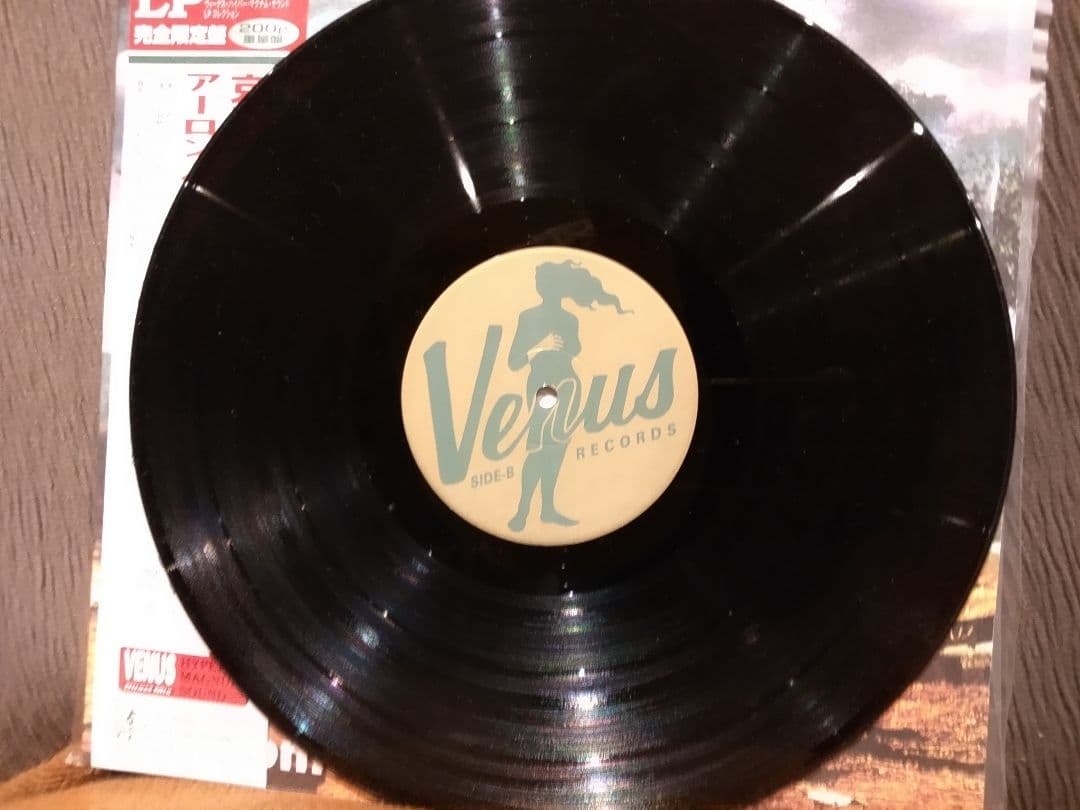 Aaron Heick Europe LP Jazz Album Summer's Gone Comin' Home Used | Japansoundstore