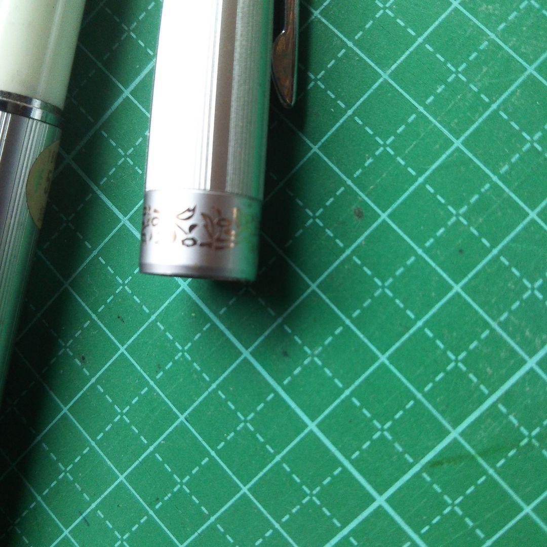 Platinum 18K WG Fountain Pen White Striped Metal & Plastic Nib Cap Used | Suadpens