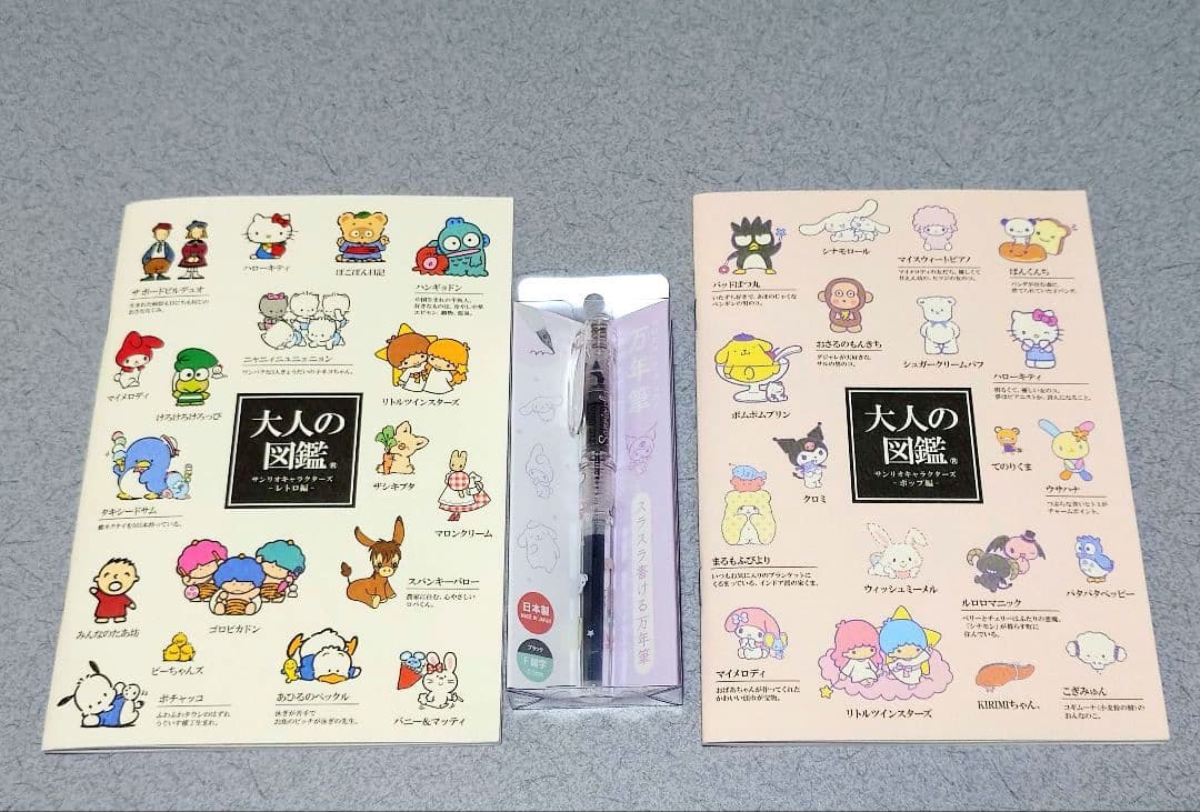 Sanrio Characters Fountain Pen + 2 Adult Notebook Set, Cute Retro Design, New | Suadpens