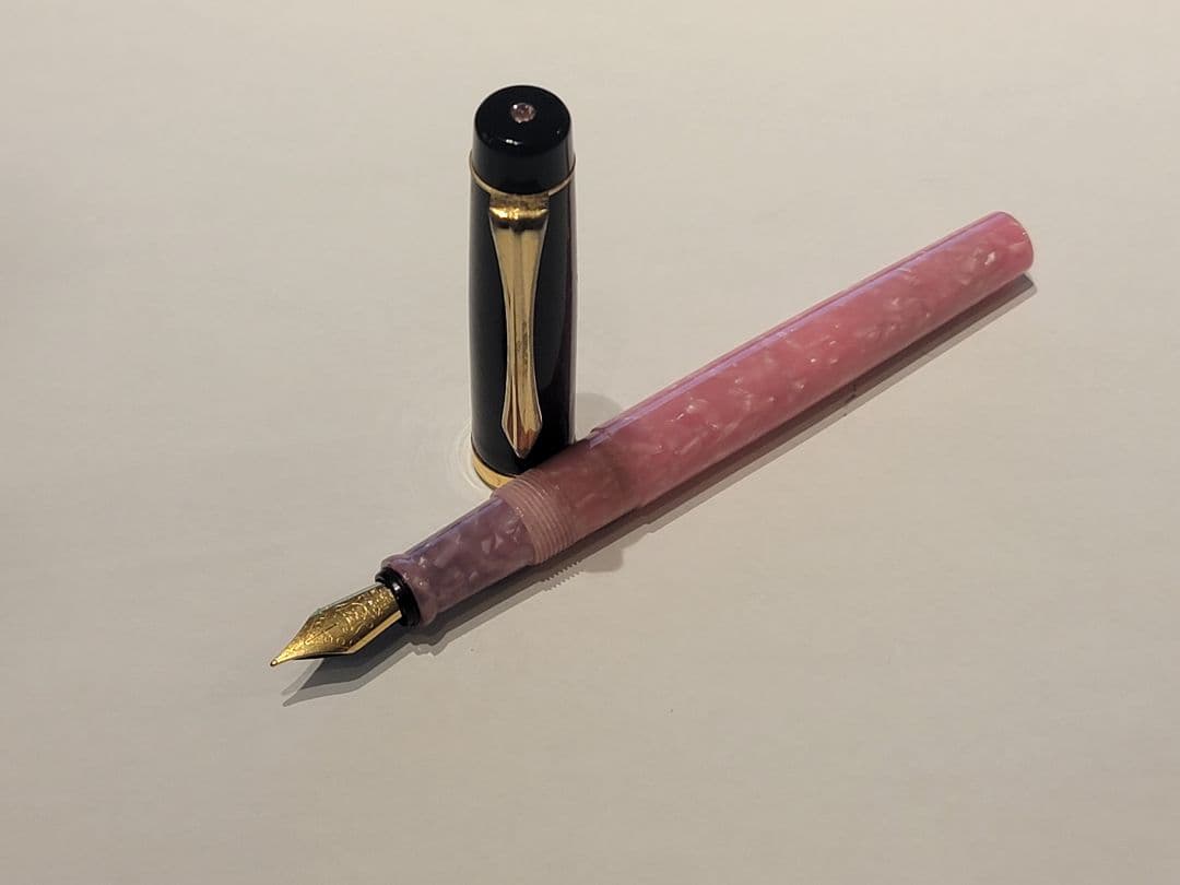 Onishi Peach Blossom Fountain Pen F Limited Edition Black & Gold Trim | Suadpens
