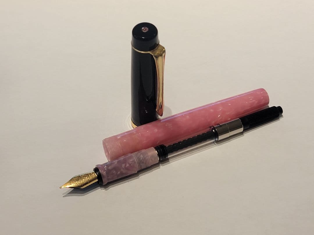 Onishi Peach Blossom Fountain Pen F Limited Edition Black & Gold Trim | Suadpens