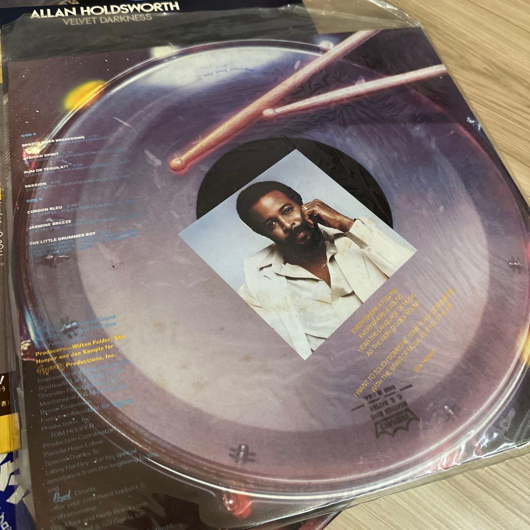 Alan Holdsworth Velvet Darkness LP Japan Commemorative Obi Included | Japansoundstore