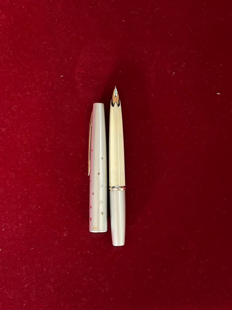 White fountain pen 14k gold nib, elegant & simple, cap included, used | Suadpens