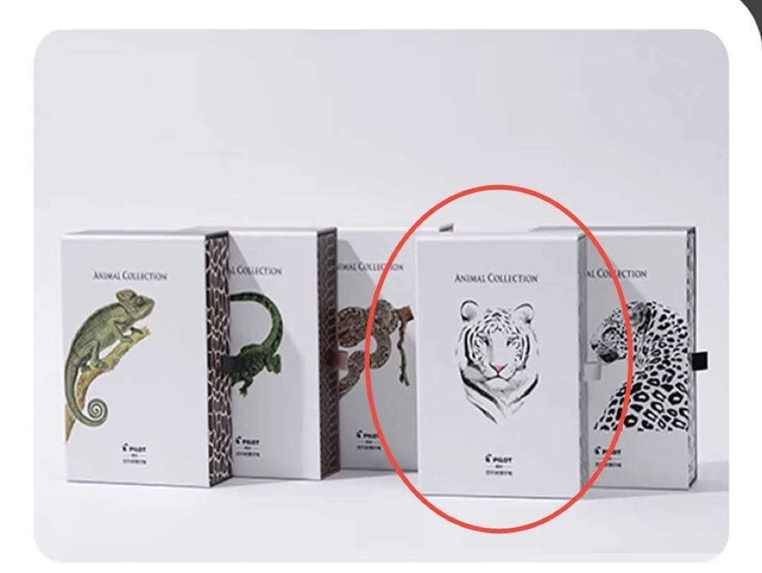 Pilot Cocoon White Tiger Limited Edition Fountain Pen with Ink Bottle | Suadpens